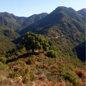 sierra enguera