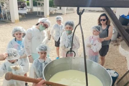 actividades culturales