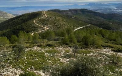 serra grossa